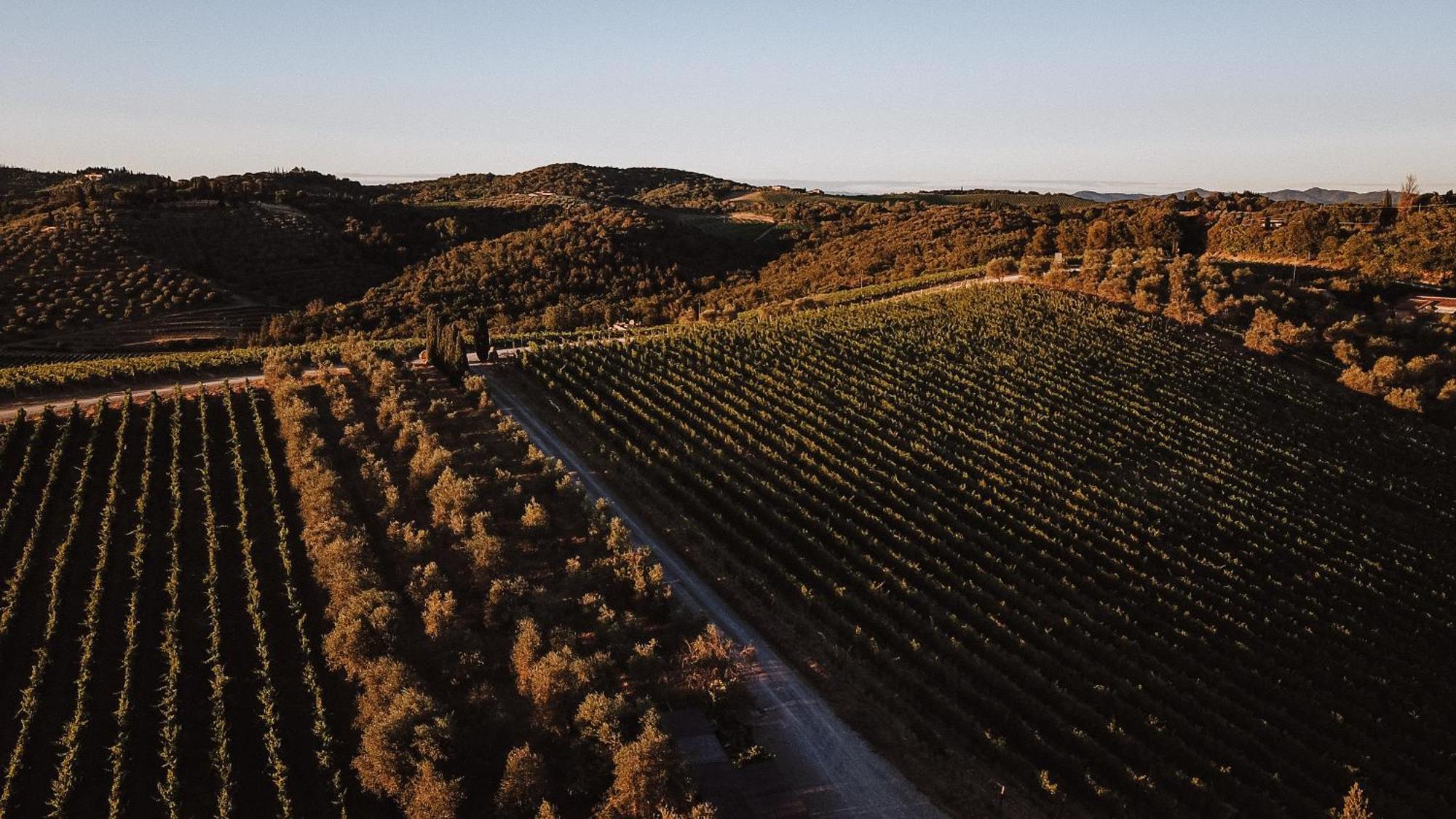 Fattoria Di Corsignano Villa Vagliagli Dış mekan fotoğraf